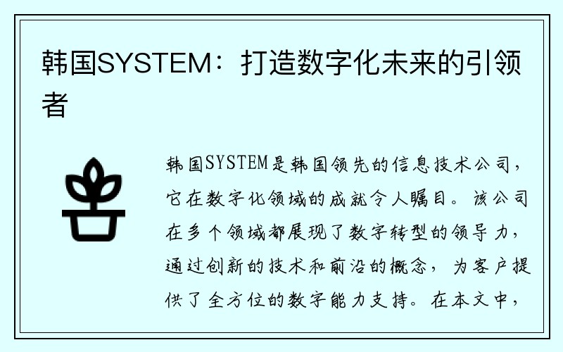 韩国SYSTEM：打造数字化未来的引领者